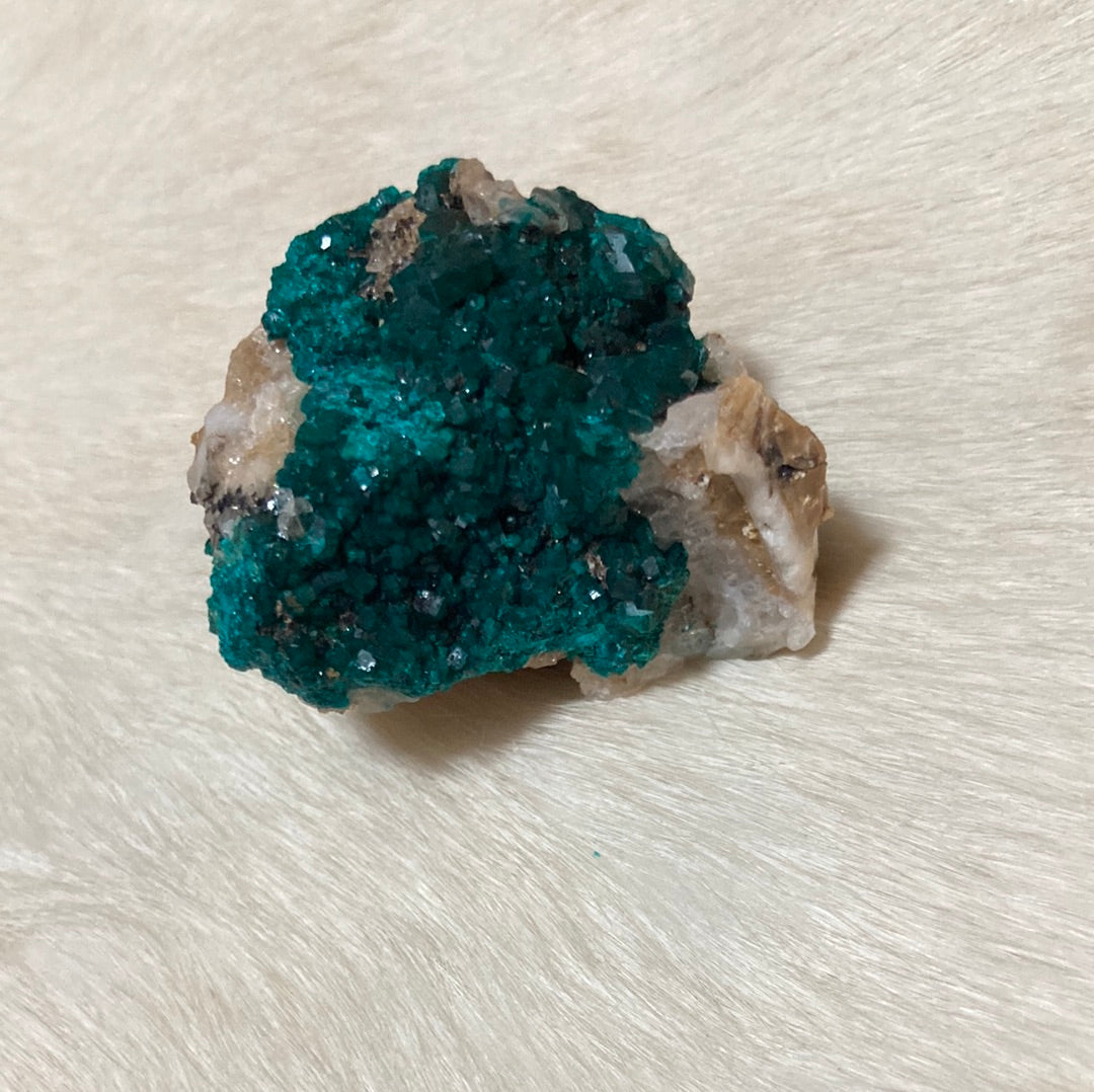 Gorgeous High Grade Dioptase 13