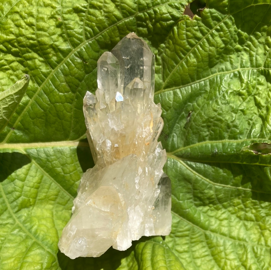 Real All Natural Gorgeous Citrine 31