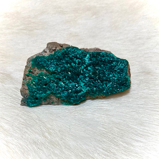 High Grade Dioptase 14