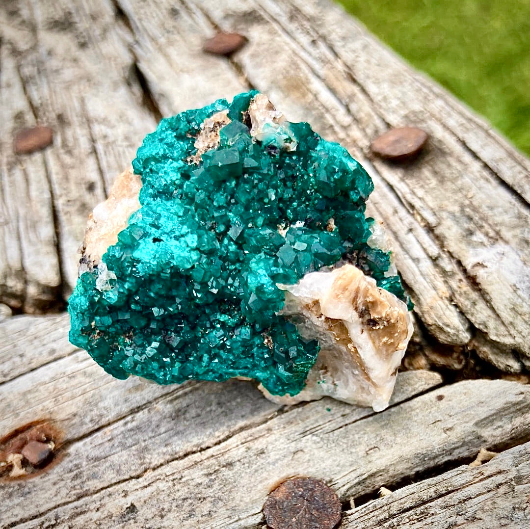 Gorgeous High Grade Dioptase 13