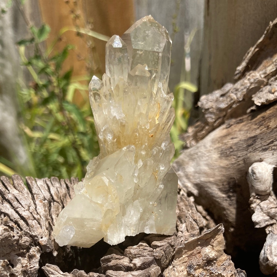 Real All Natural Gorgeous Citrine 31