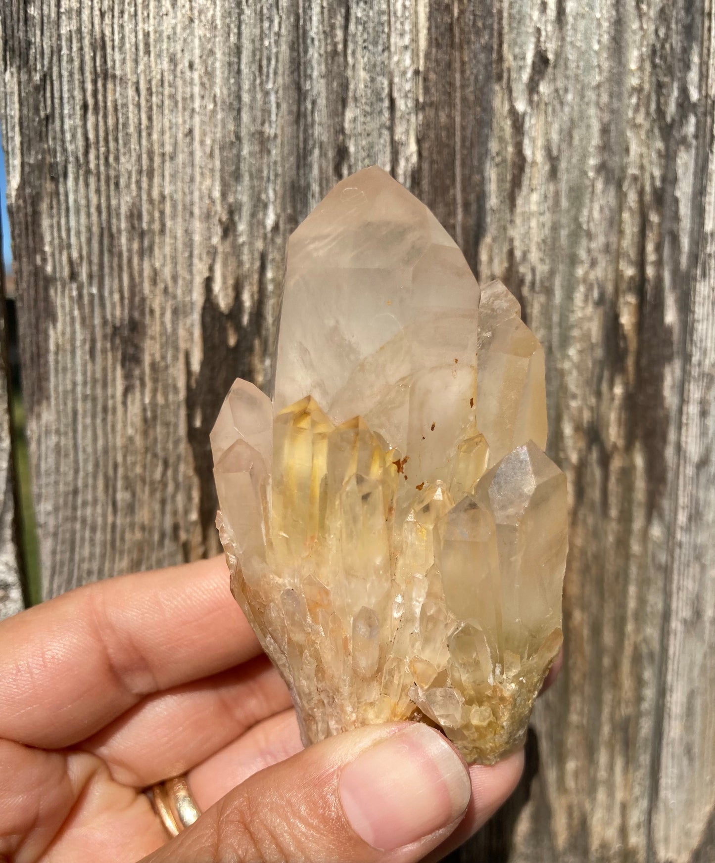 High Grade Gorgeous Real All Natural Citrine 5