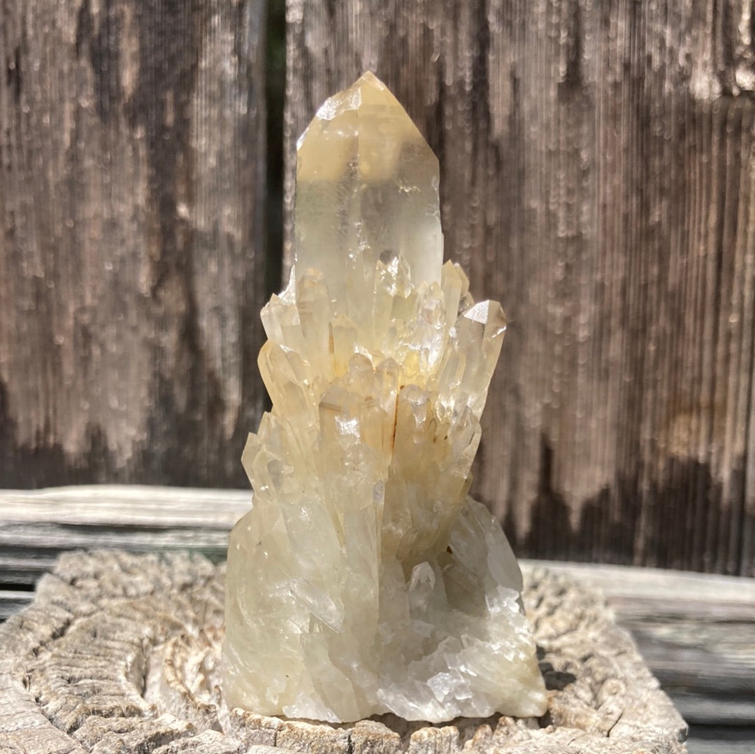 Real All Natural Gorgeous Citrine 31