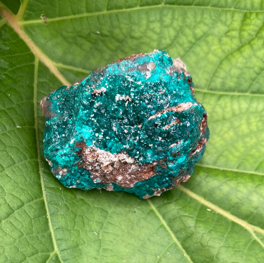 Gorgeous High Grade Dioptase 10