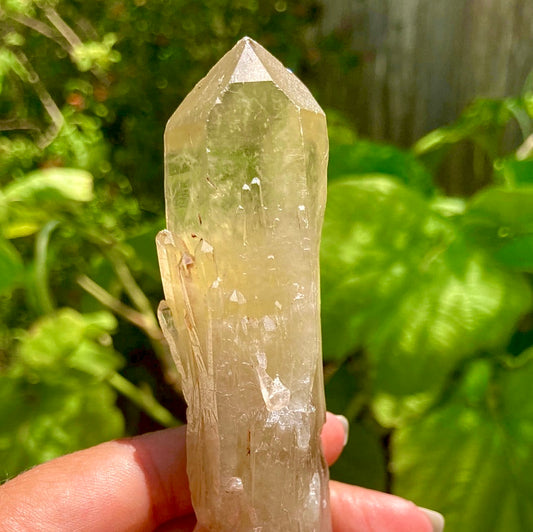 Real All Natural Citrine 21