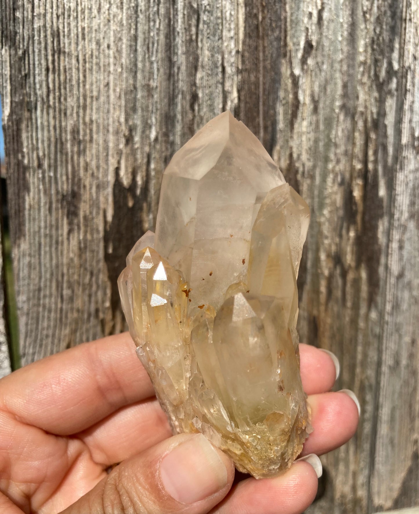 High Grade Gorgeous Real All Natural Citrine 5