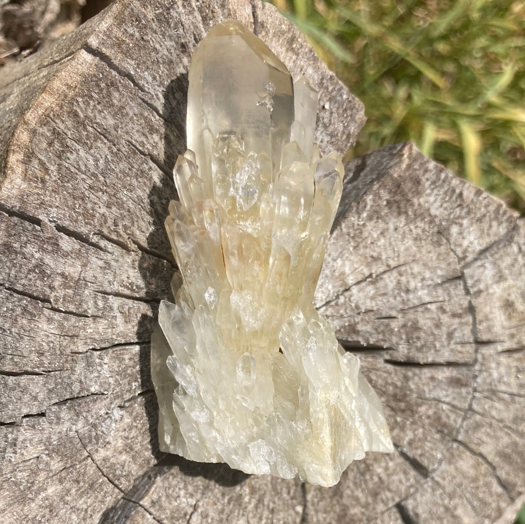 Real All Natural Gorgeous Citrine 31