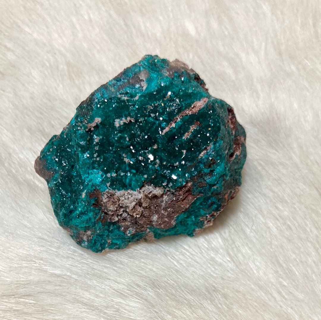 Gorgeous High Grade Dioptase 10