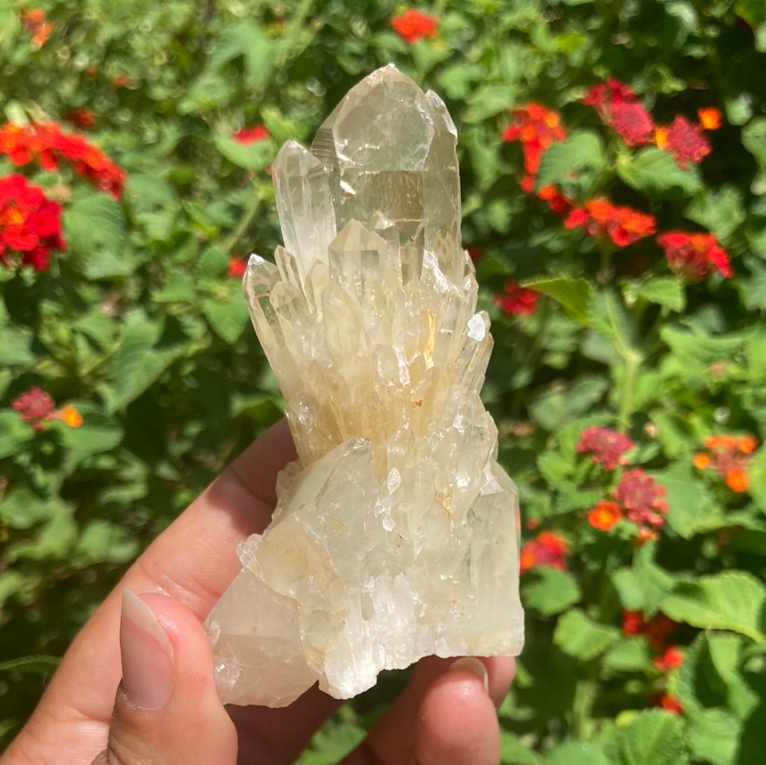 Real All Natural Gorgeous Citrine 31