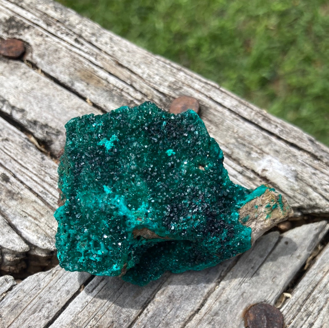 Gorgeous High Grade Dioptase 8