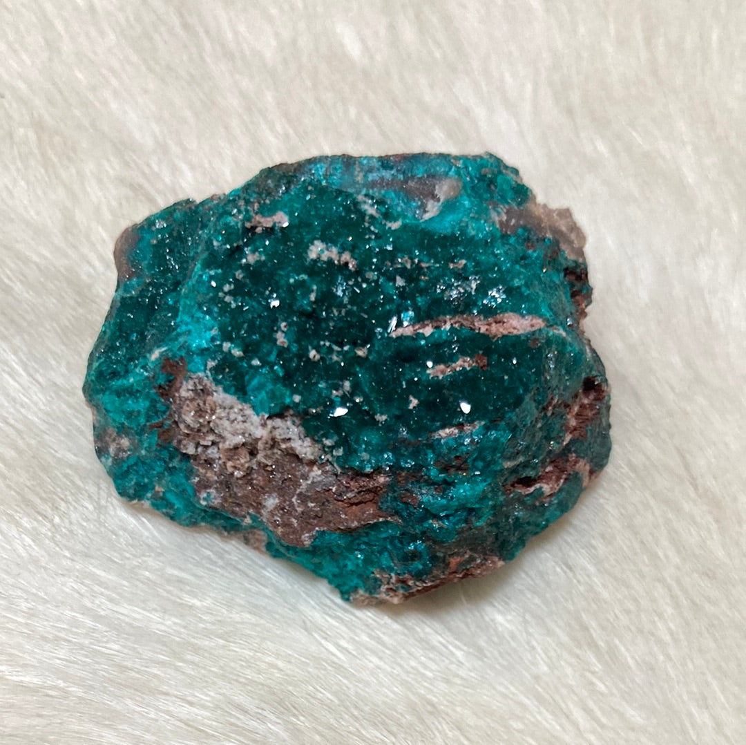 Gorgeous High Grade Dioptase 10