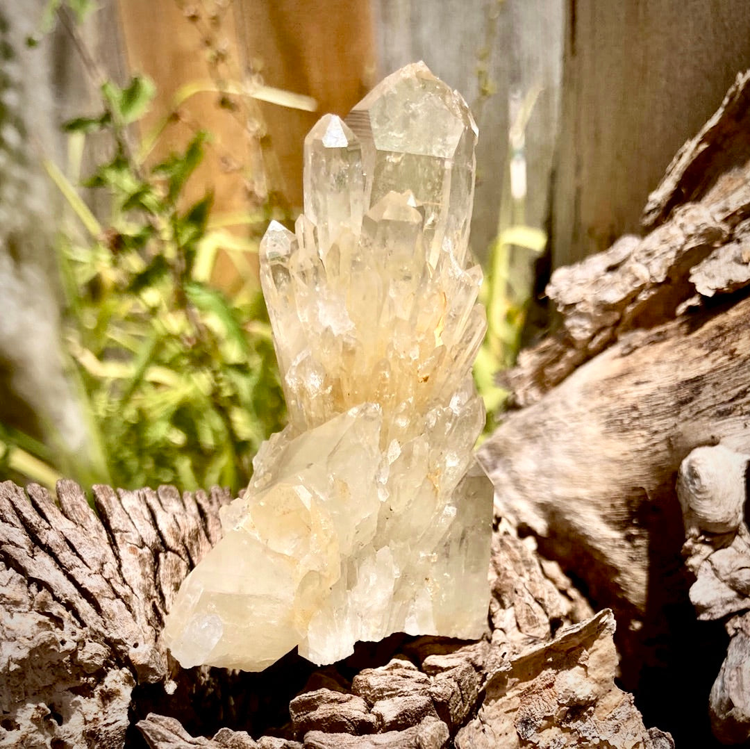 Real All Natural Gorgeous Citrine 31