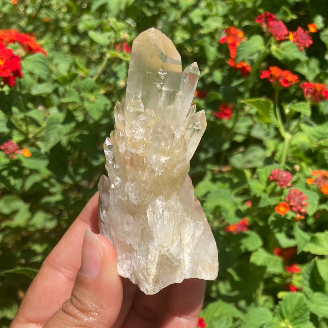 Real All Natural Gorgeous Citrine 31