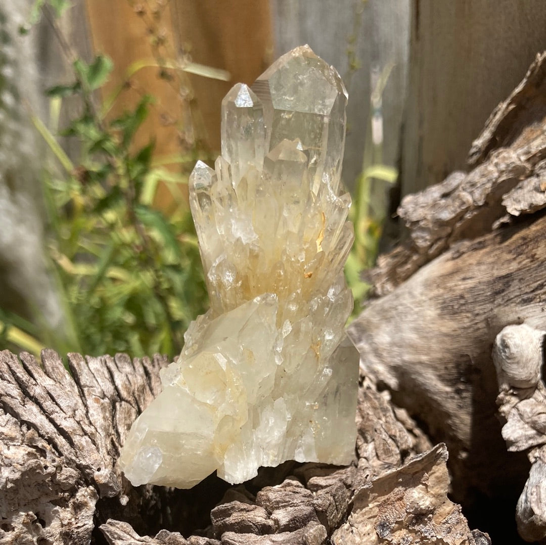 Real All Natural Gorgeous Citrine 31