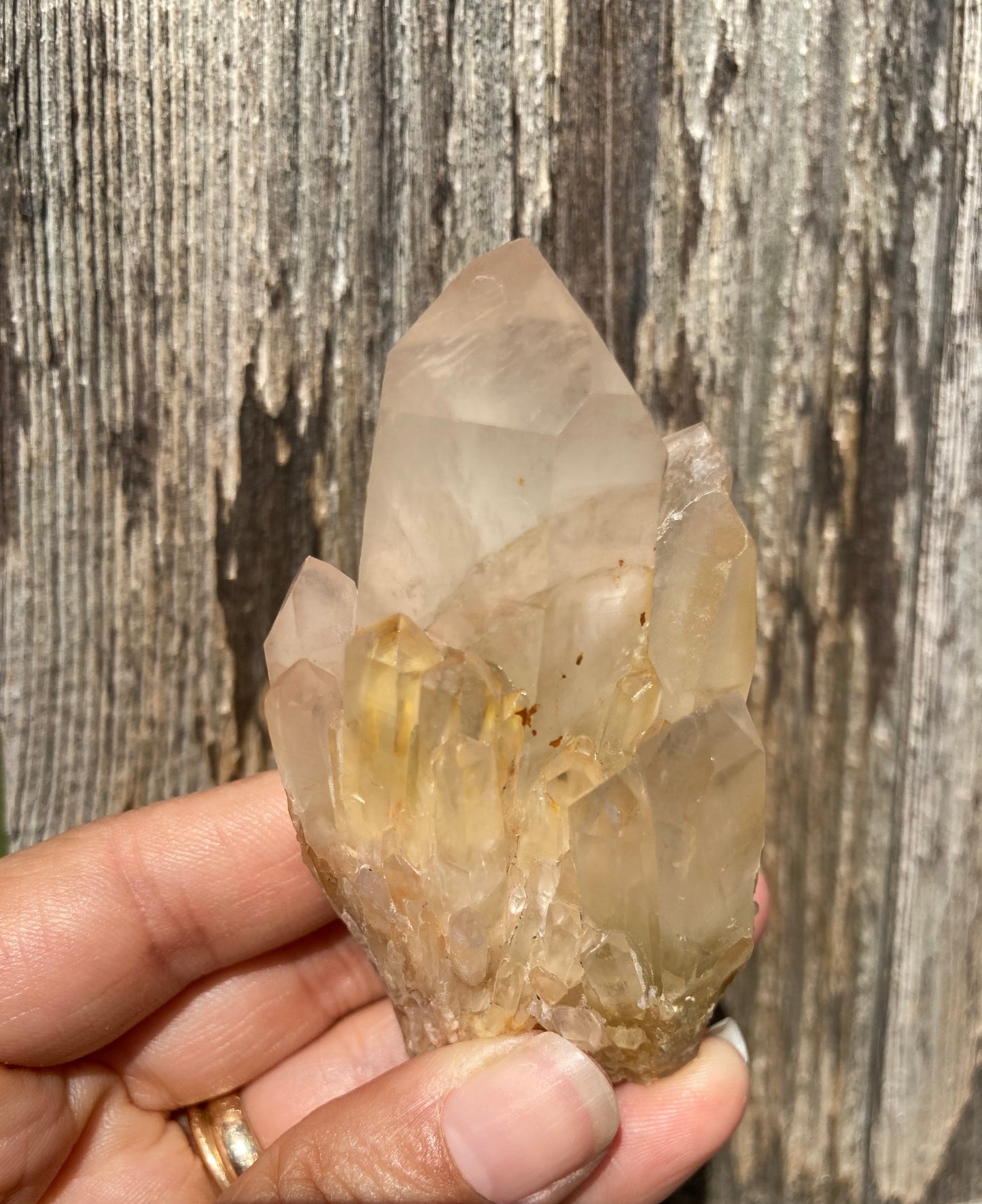 High Grade Gorgeous Real All Natural Citrine 5