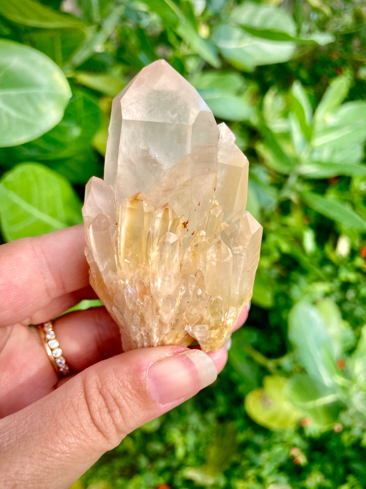 High Grade Gorgeous Real All Natural Citrine 5