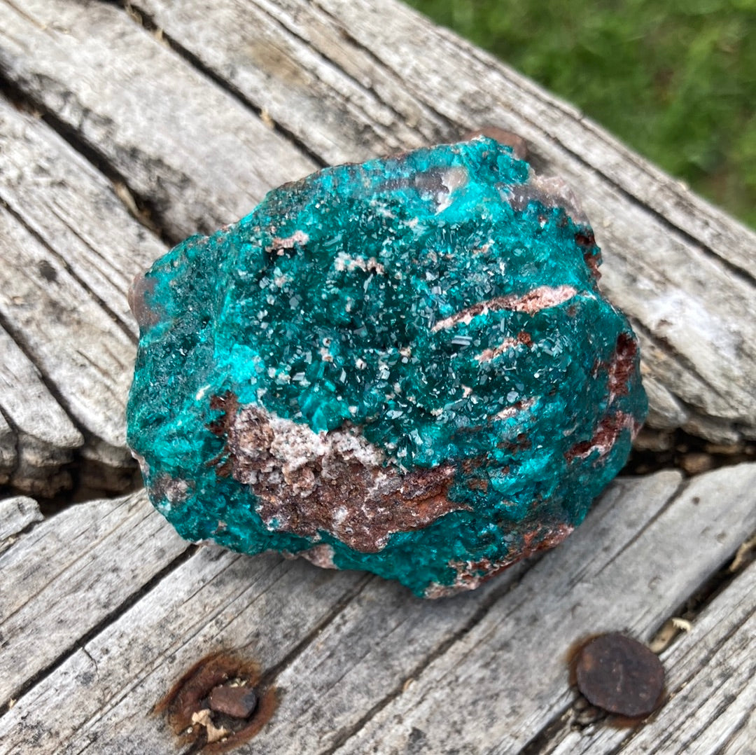 Gorgeous High Grade Dioptase 10