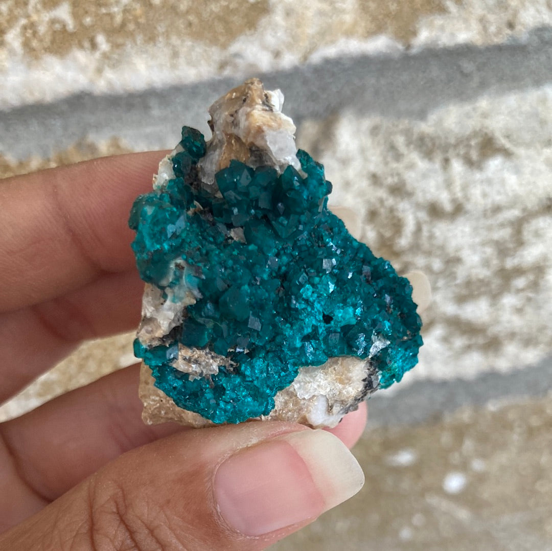 Gorgeous High Grade Dioptase 13