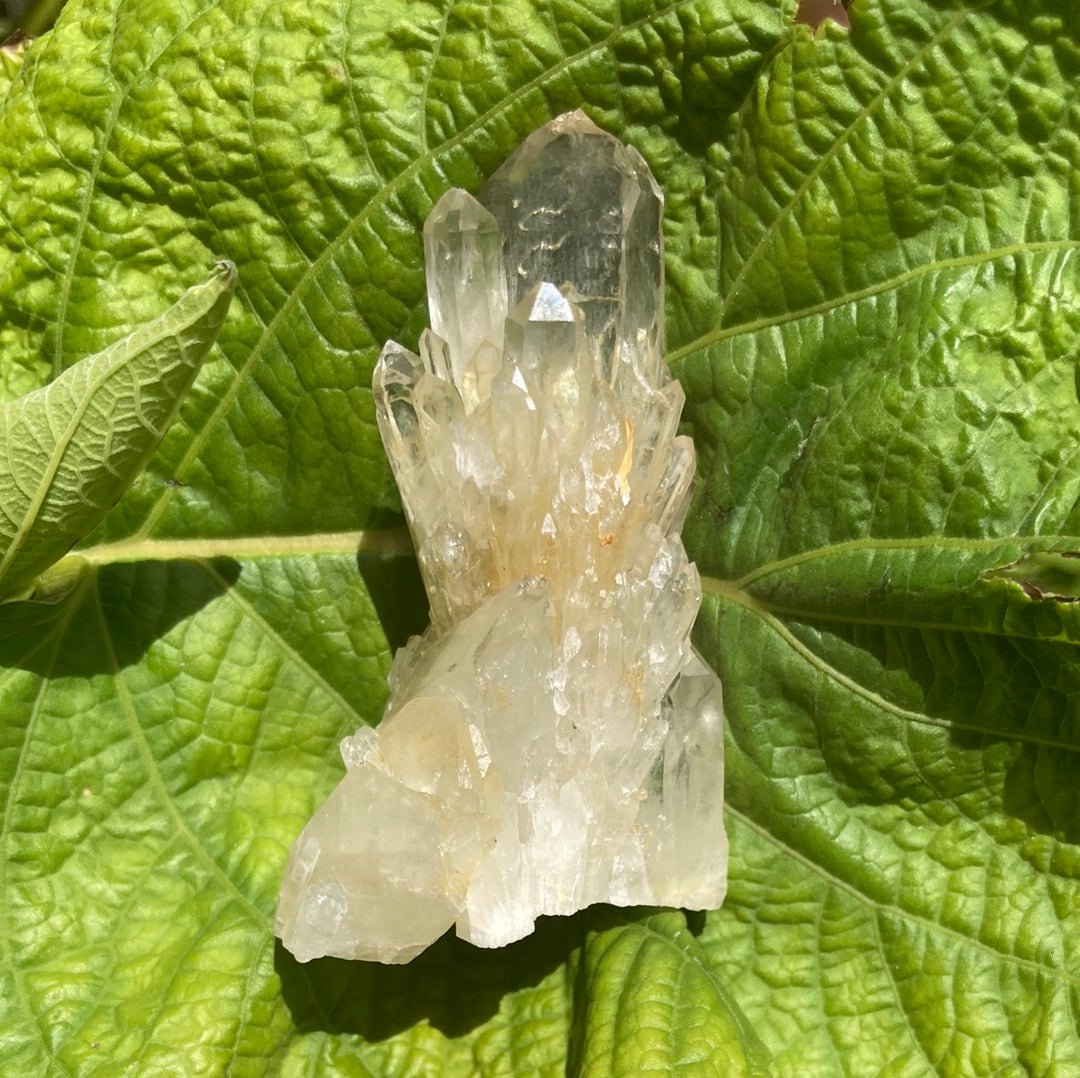 Real All Natural Gorgeous Citrine 31