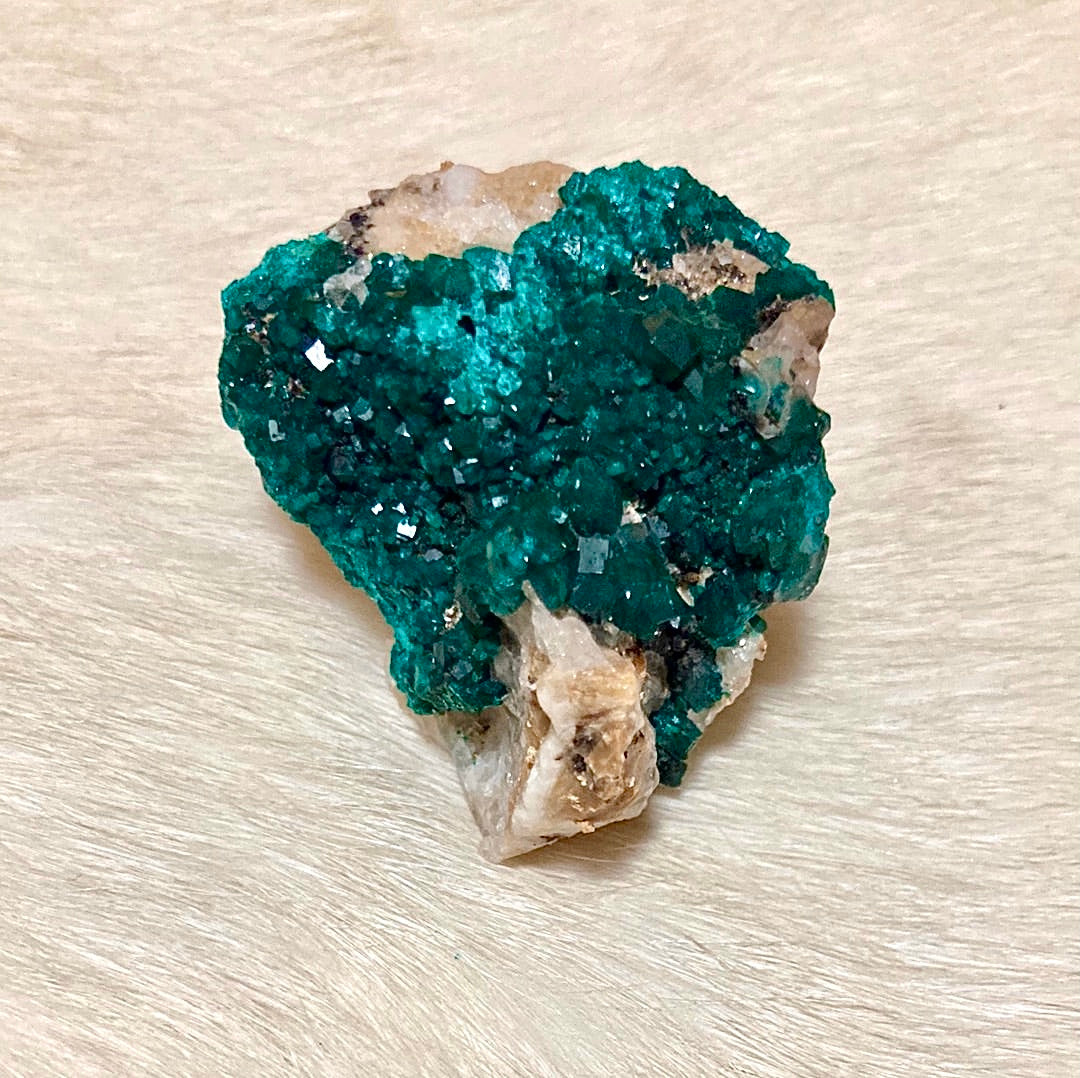 Gorgeous High Grade Dioptase 13