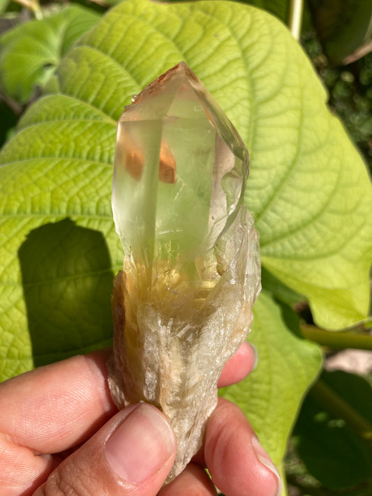 High Grade Gorgesou Real All Natural Citrine 3