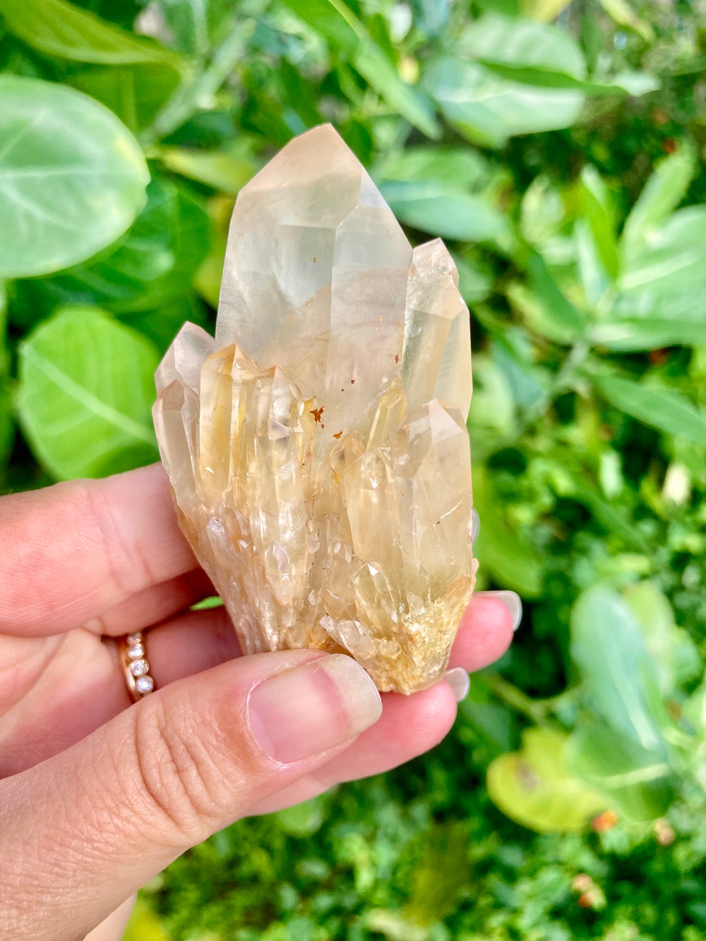 High Grade Gorgeous Real All Natural Citrine 5