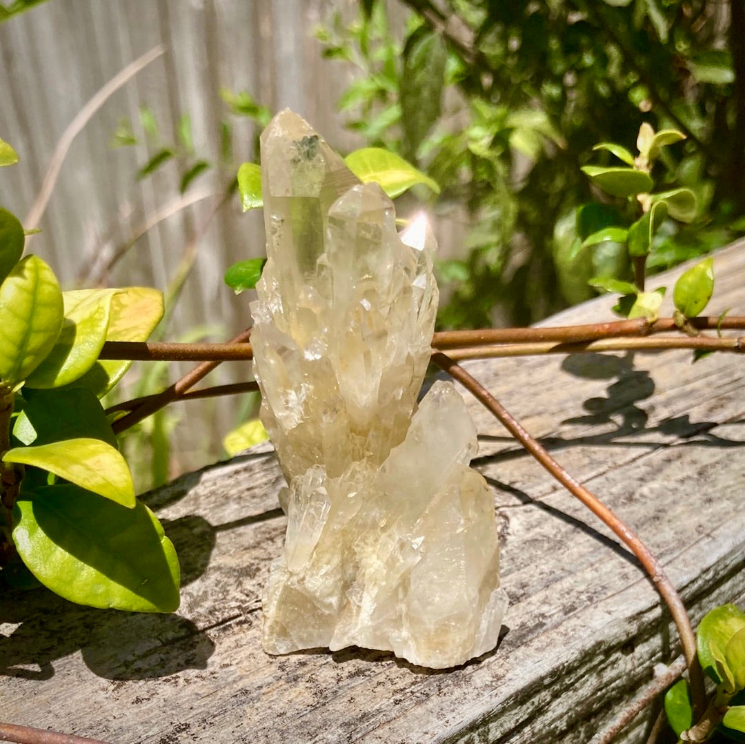 Real All Natural Gorgeous Citrine 31