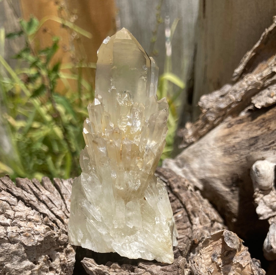 Real All Natural Gorgeous Citrine 31