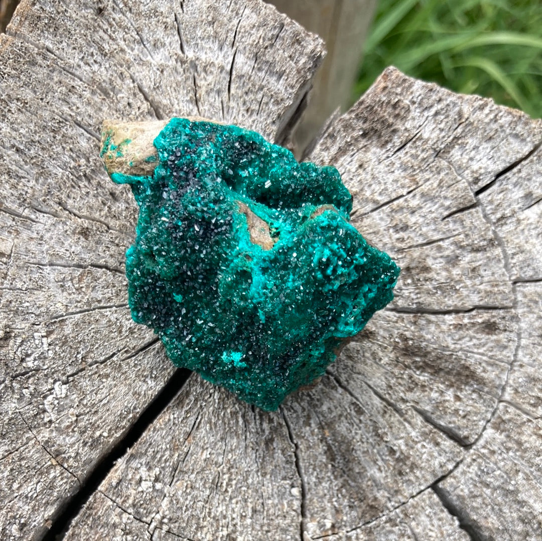 Gorgeous High Grade Dioptase 8