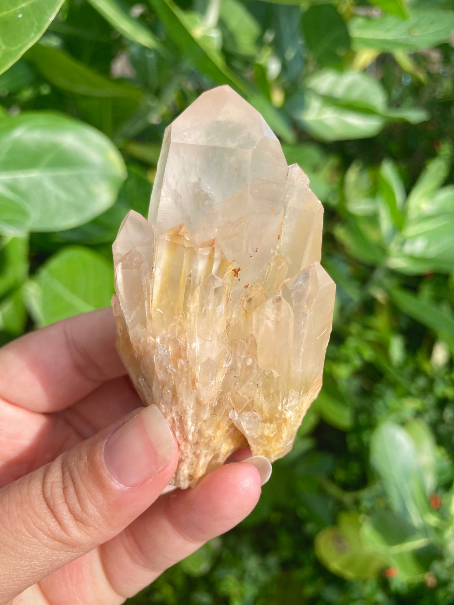 High Grade Gorgeous Real All Natural Citrine 5