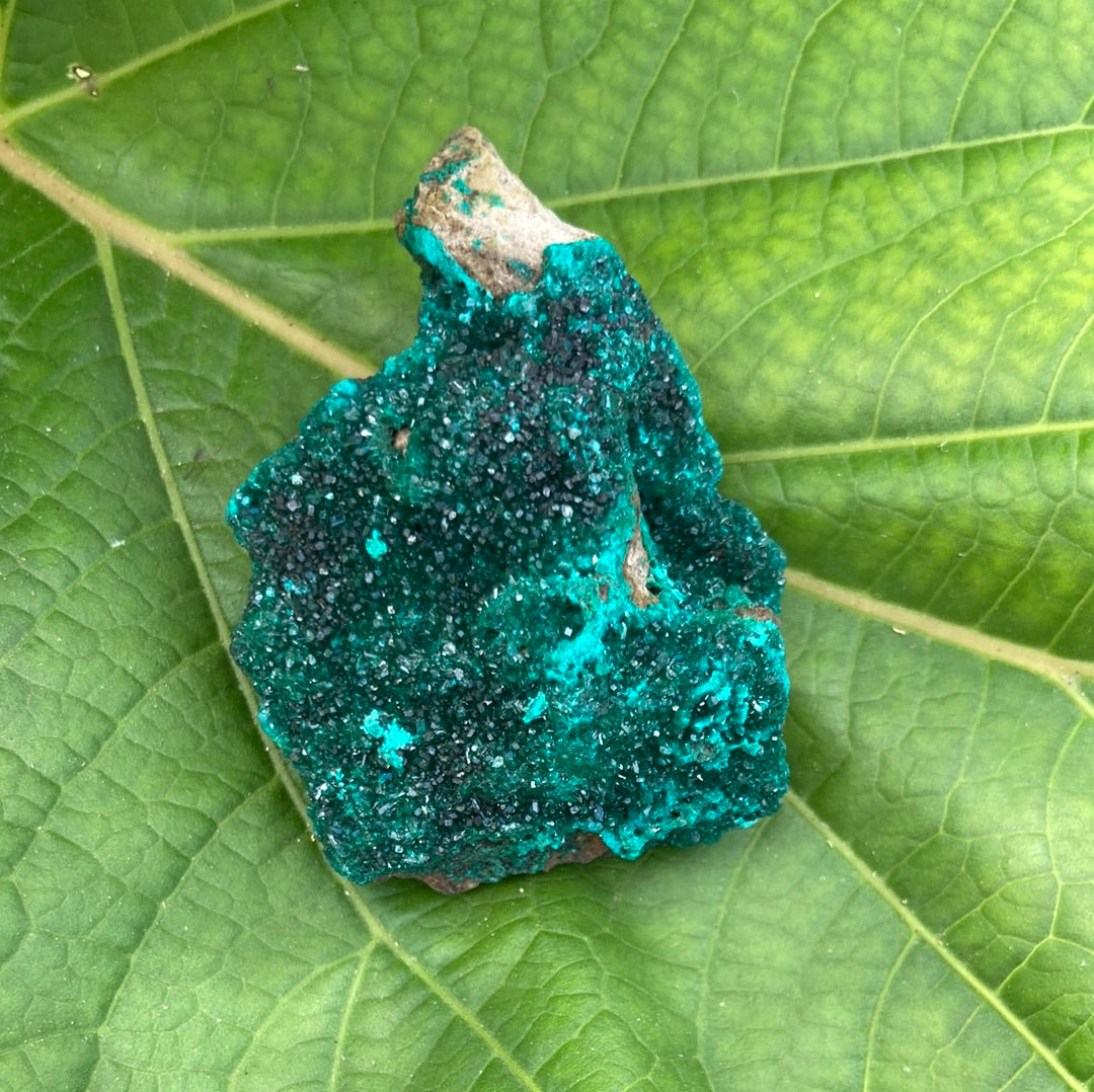 Gorgeous High Grade Dioptase 8