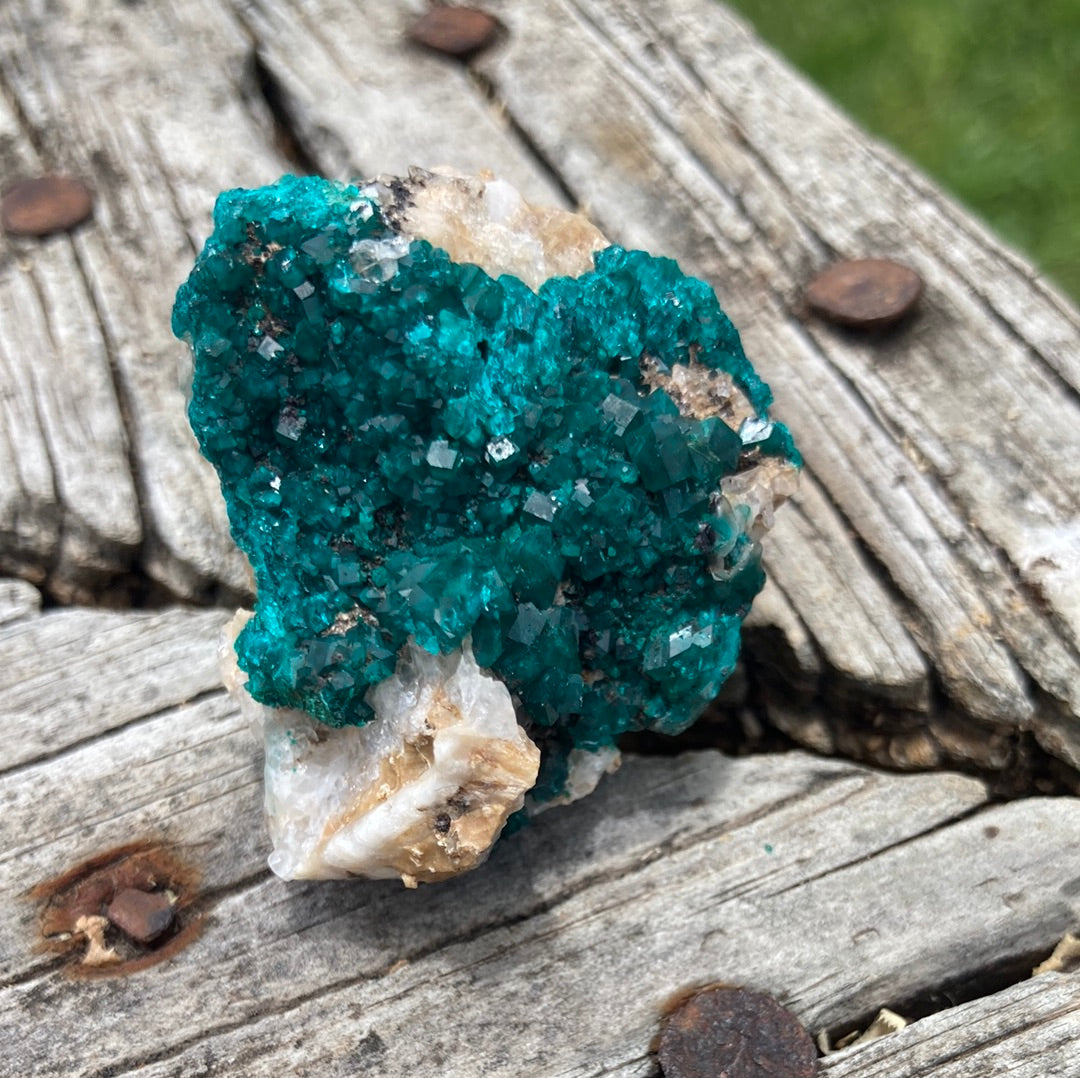 Gorgeous High Grade Dioptase 13