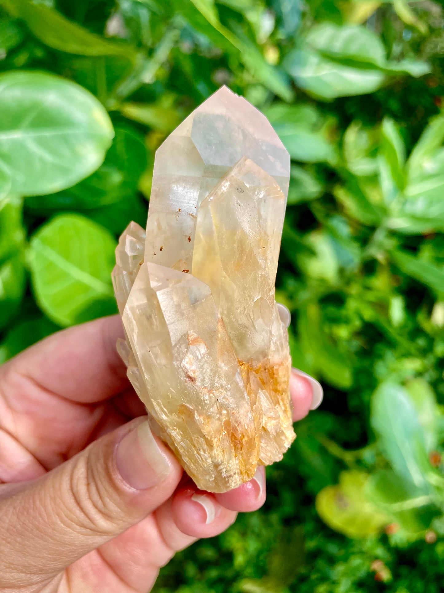 High Grade Gorgeous Real All Natural Citrine 5