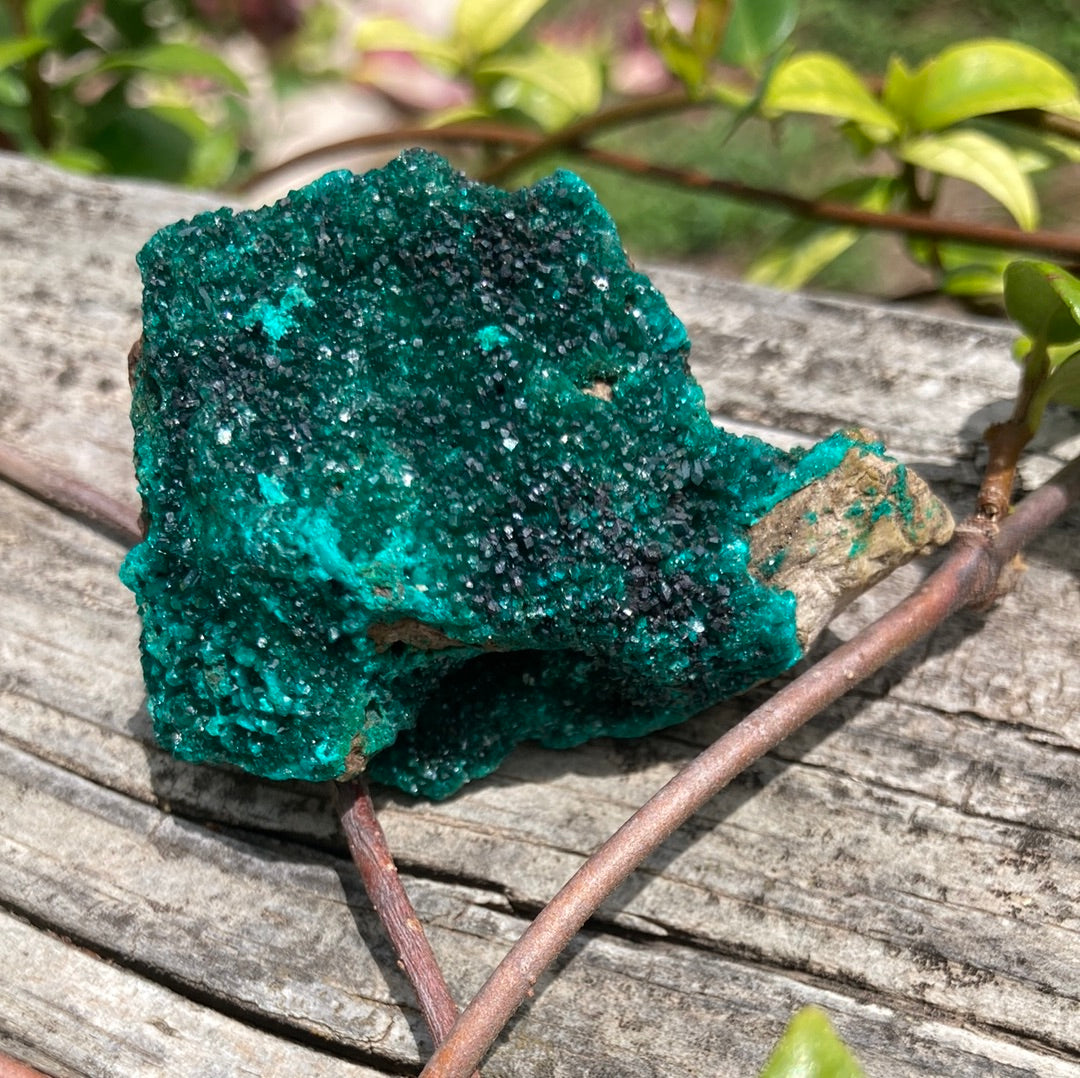 Gorgeous High Grade Dioptase 8