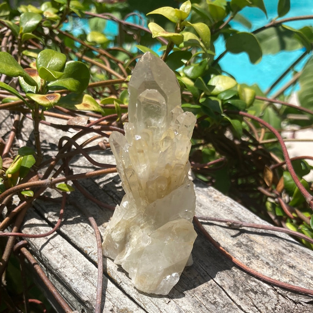 Real All Natural Gorgeous Citrine 31