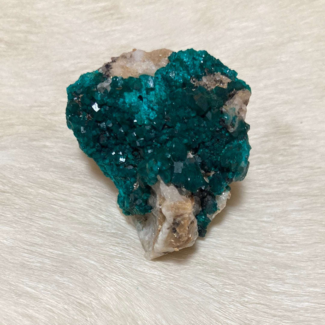 Gorgeous High Grade Dioptase 13