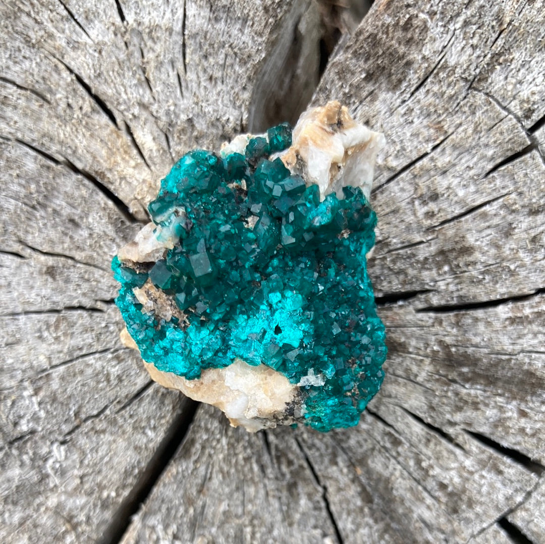 Gorgeous High Grade Dioptase 13