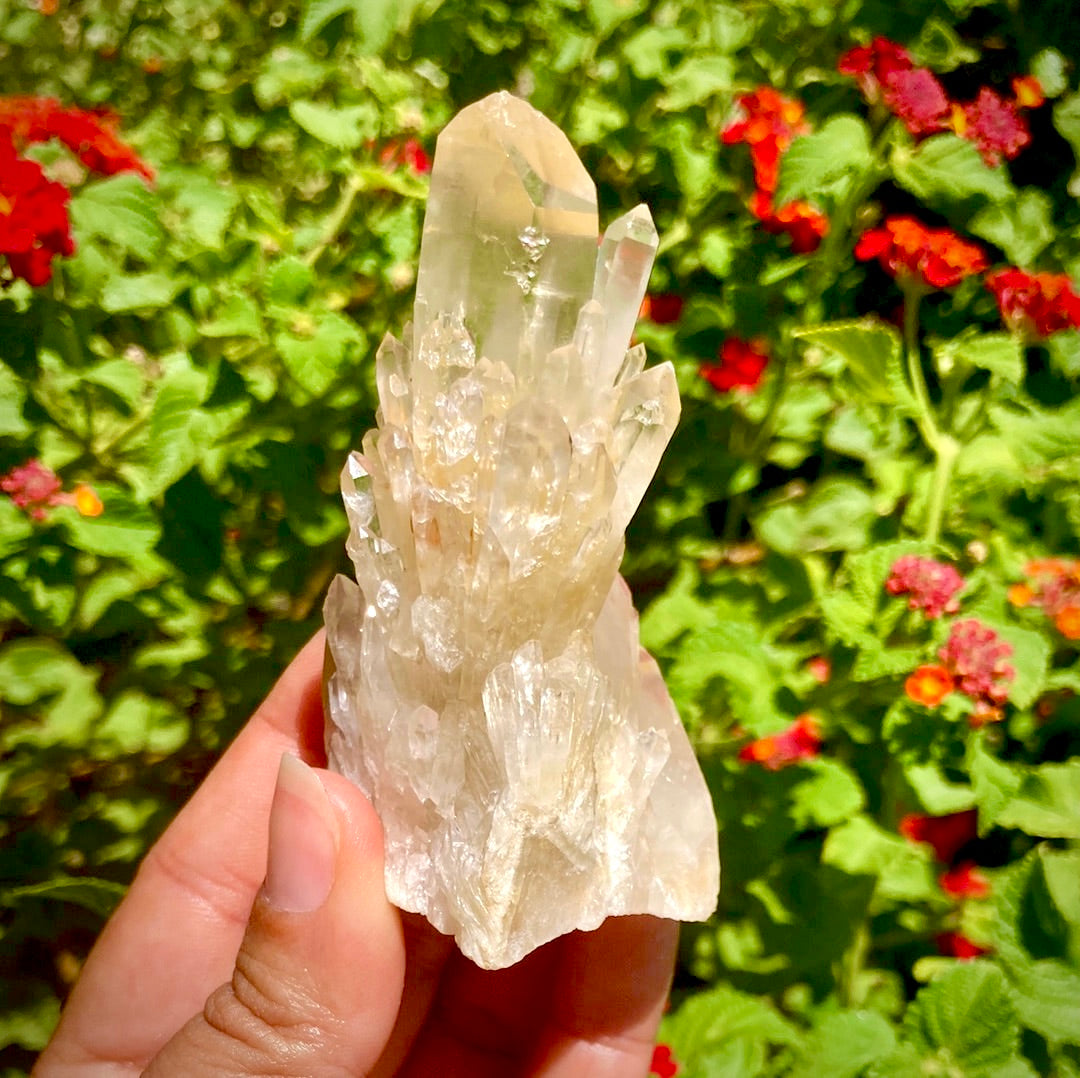 Real All Natural Gorgeous Citrine 31