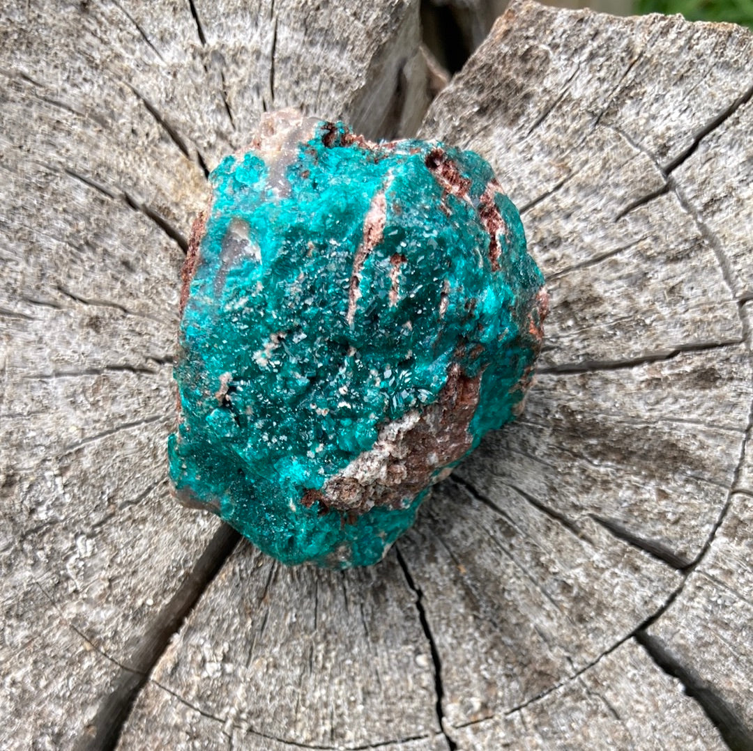 Gorgeous High Grade Dioptase 10