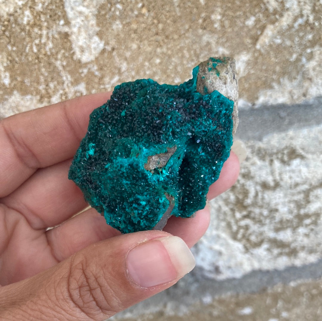 Gorgeous High Grade Dioptase 8