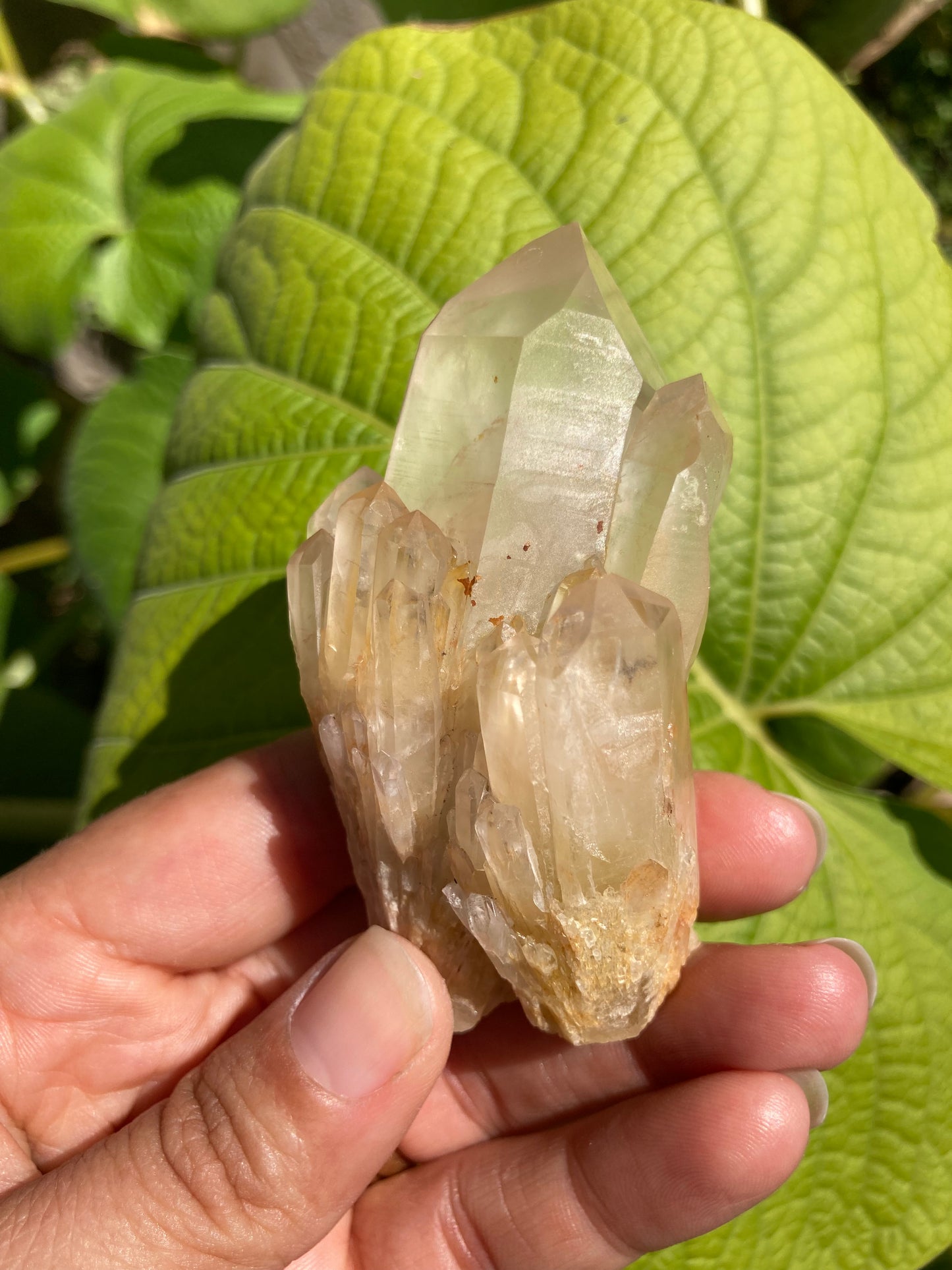 High Grade Gorgeous Real All Natural Citrine 5