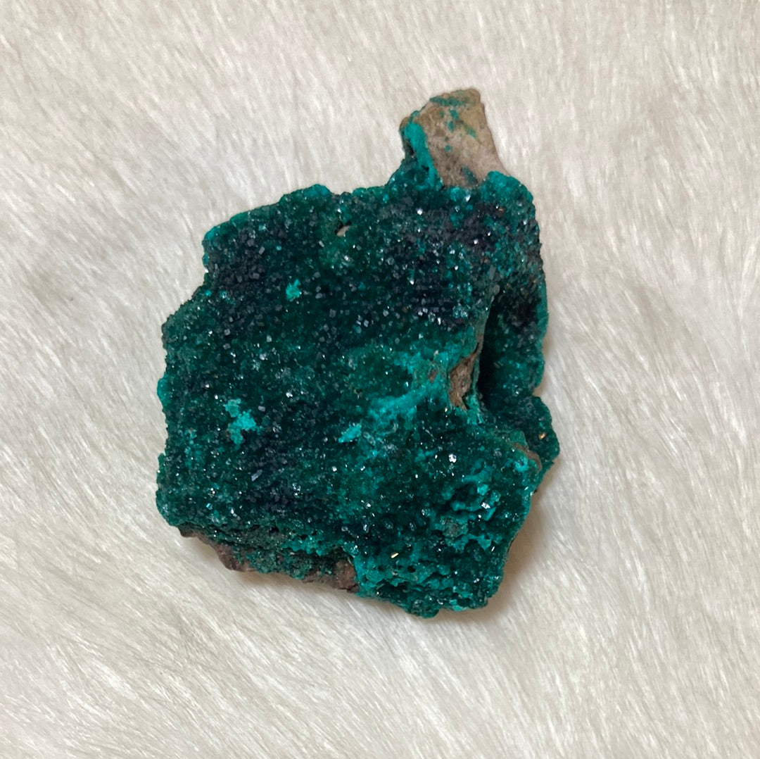 Gorgeous High Grade Dioptase 8