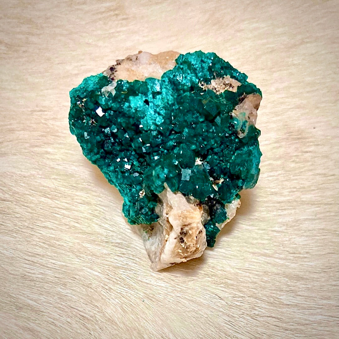 Gorgeous High Grade Dioptase 13