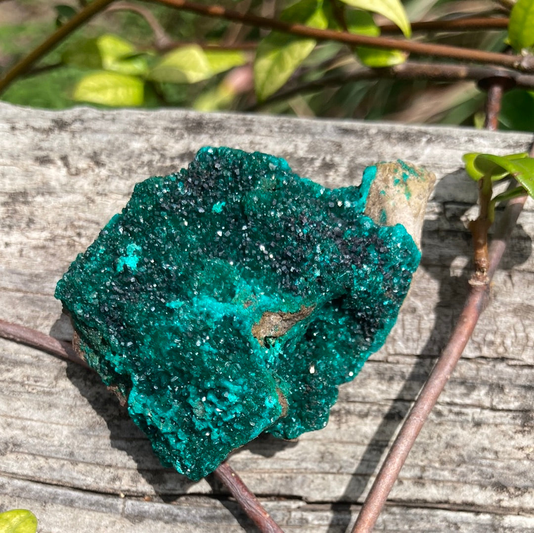 Gorgeous High Grade Dioptase 8