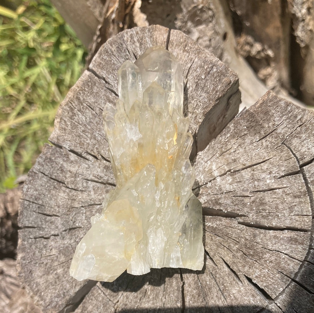 Real All Natural Gorgeous Citrine 31