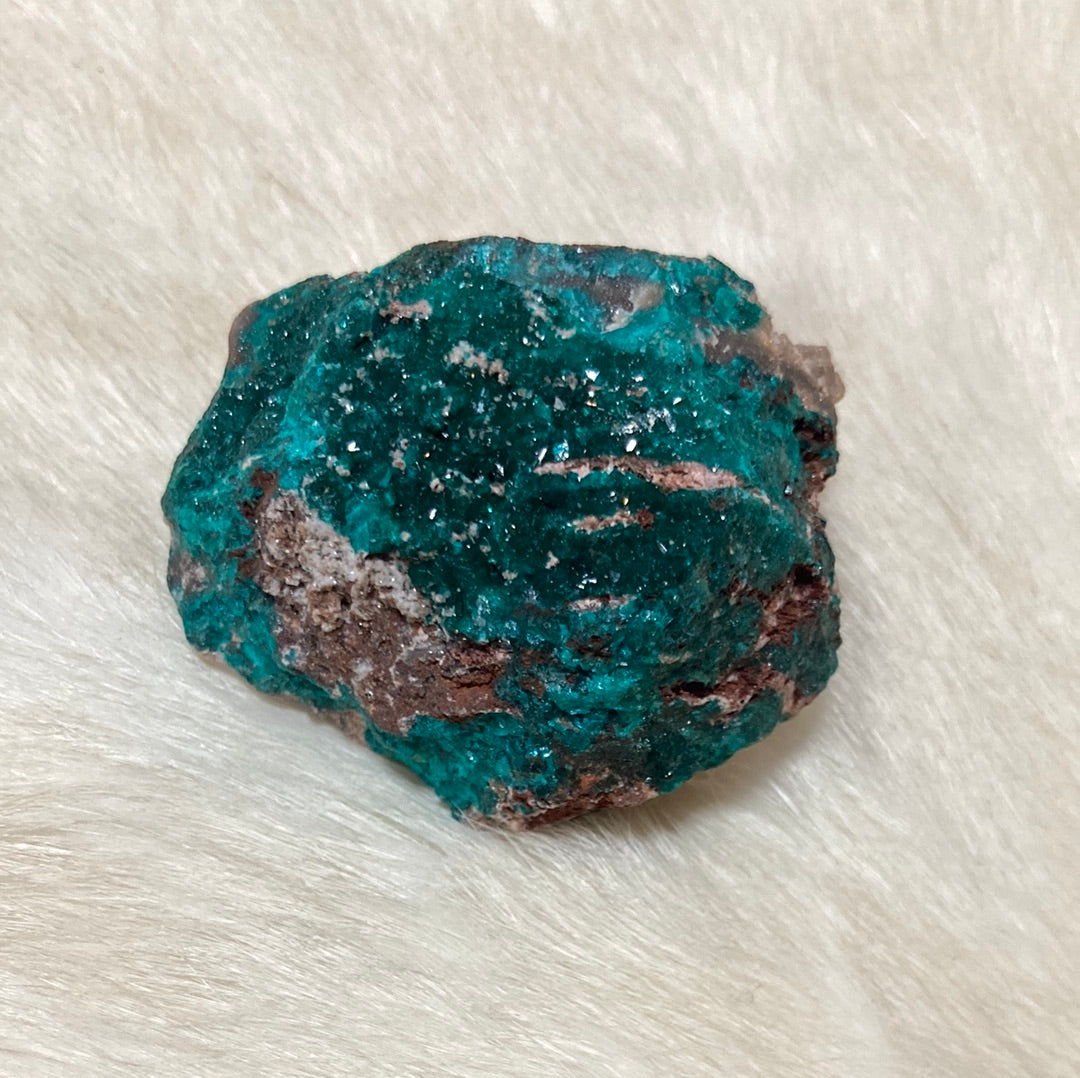 Gorgeous High Grade Dioptase 10