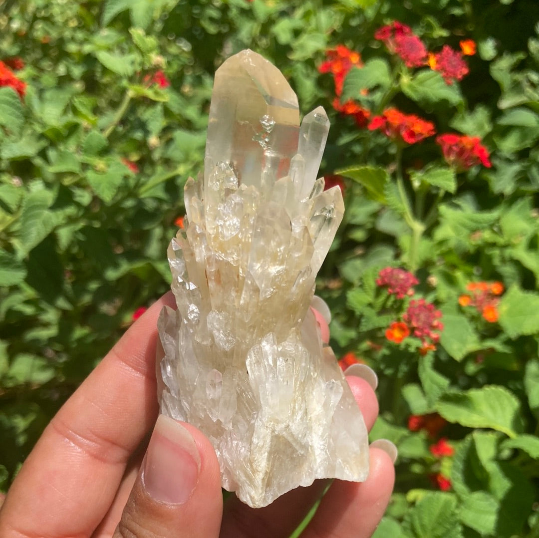 Real All Natural Gorgeous Citrine 31