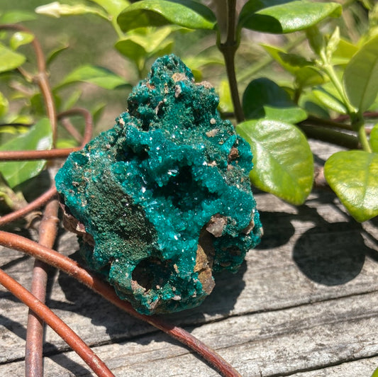 High Grade Large Dioptase 1