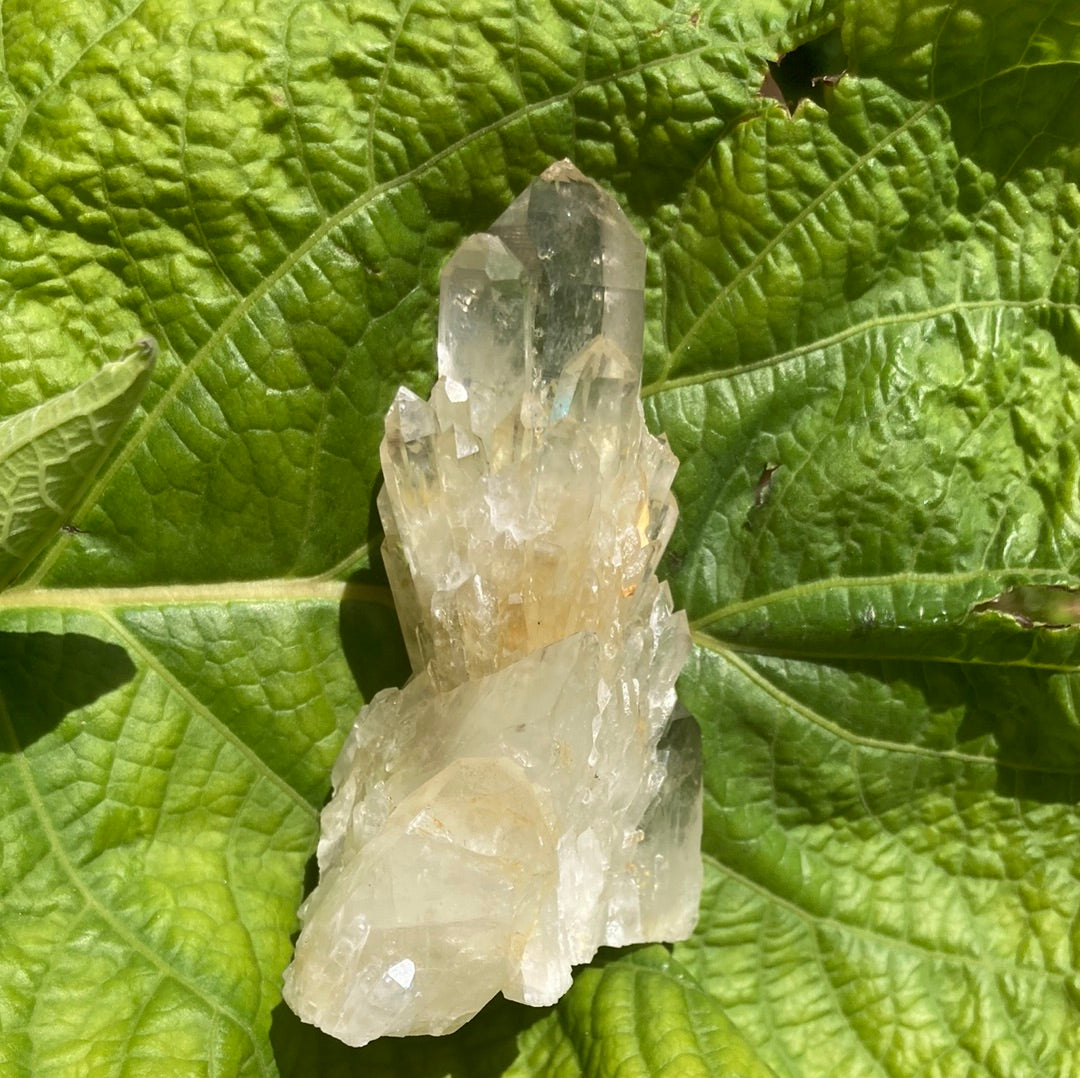 Real All Natural Gorgeous Citrine 31