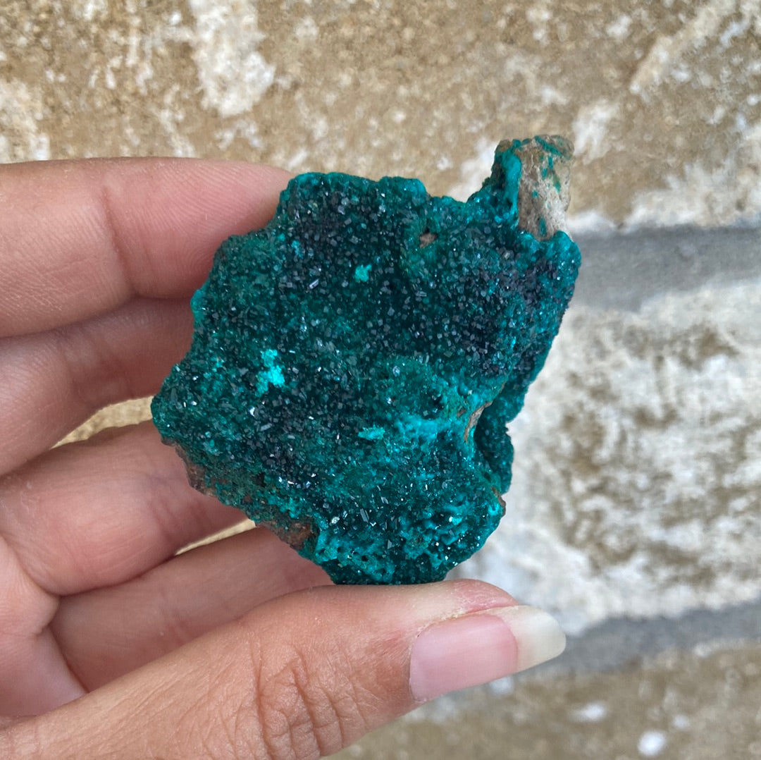 Gorgeous High Grade Dioptase 8